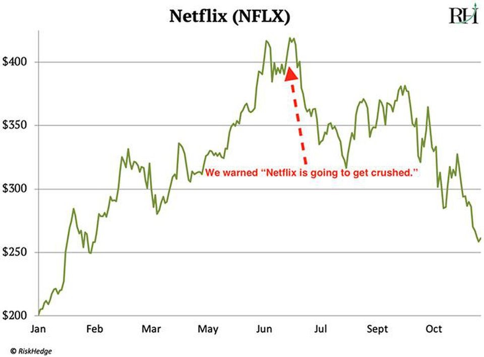 riskhedge netflix stock